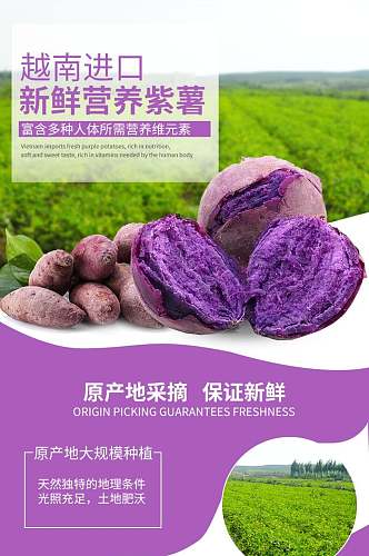 越南进口紫薯零食食物电商详情页