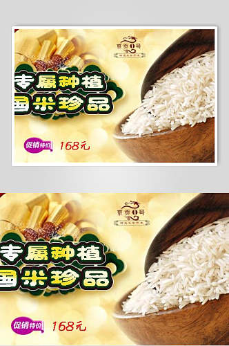 专属种植珍品大米稻米海报