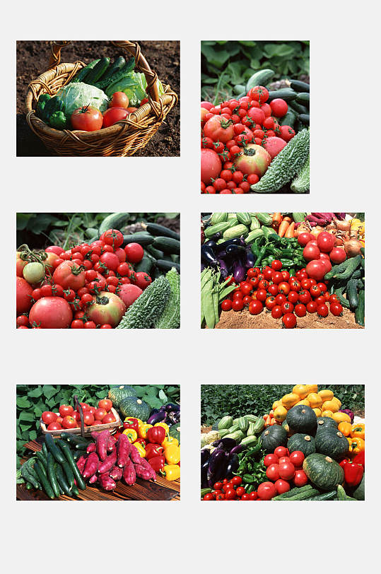 西红柿瓜果田园蔬菜元素素材