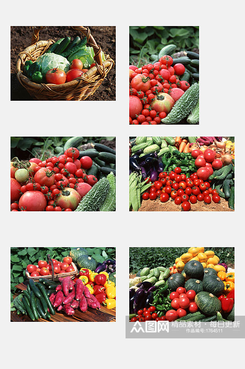 西红柿瓜果田园蔬菜元素素材素材