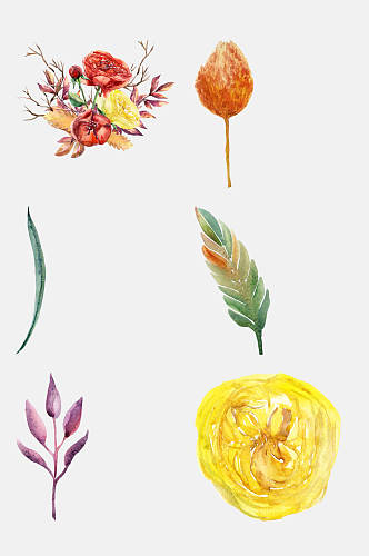 秋季花朵水彩手绘元素素材