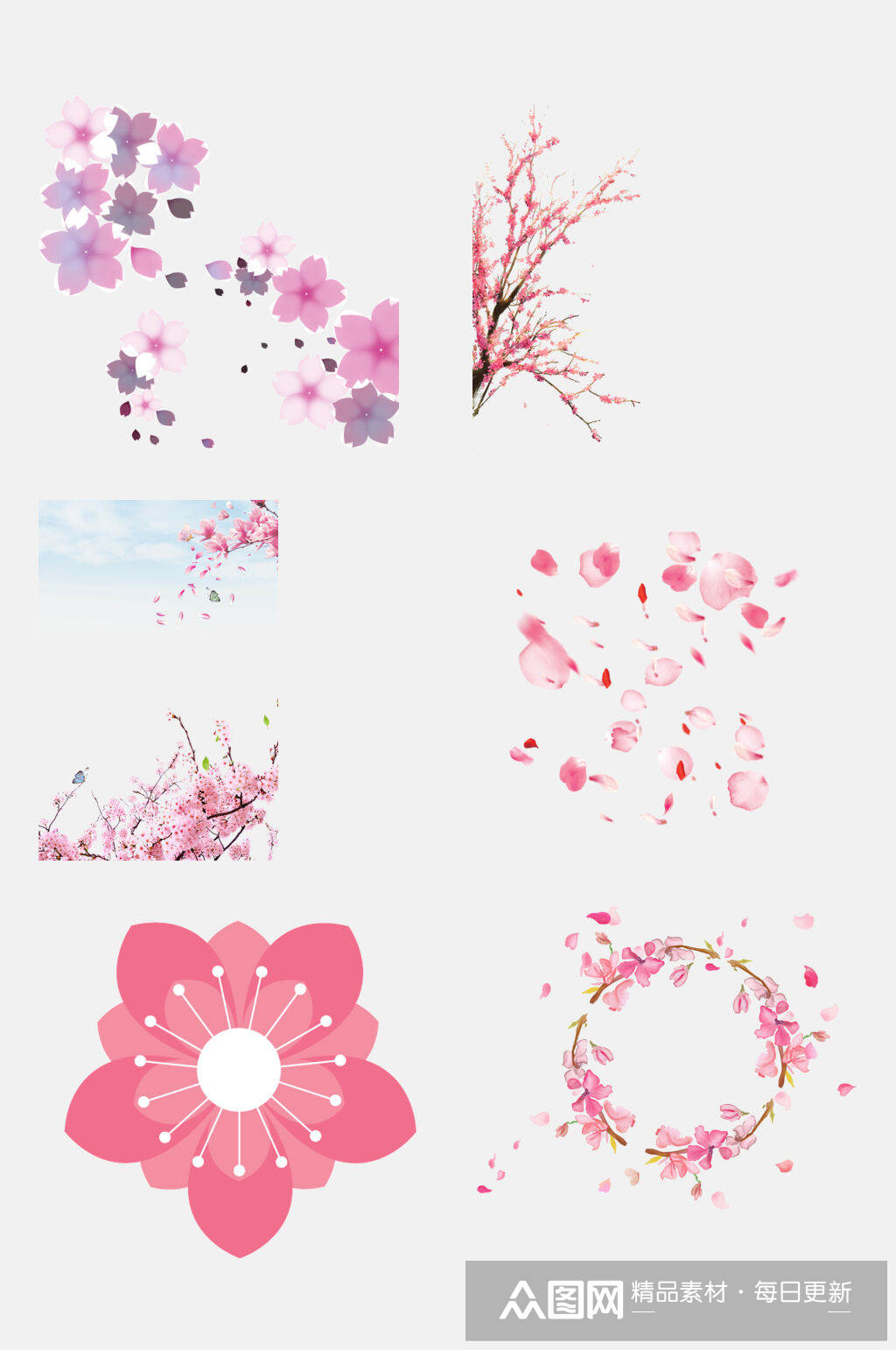 樱花花朵花瓣免抠元素素材