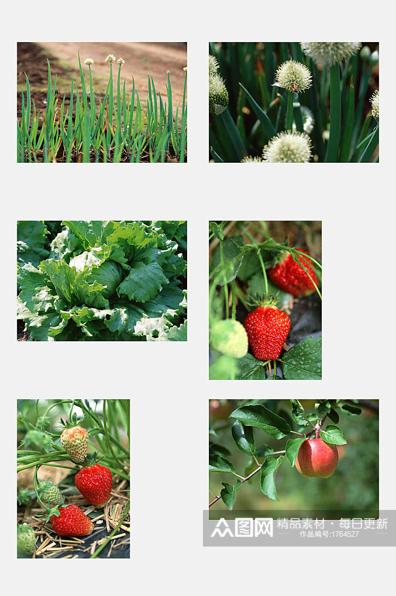 草莓瓜果田园蔬菜元素素材素材