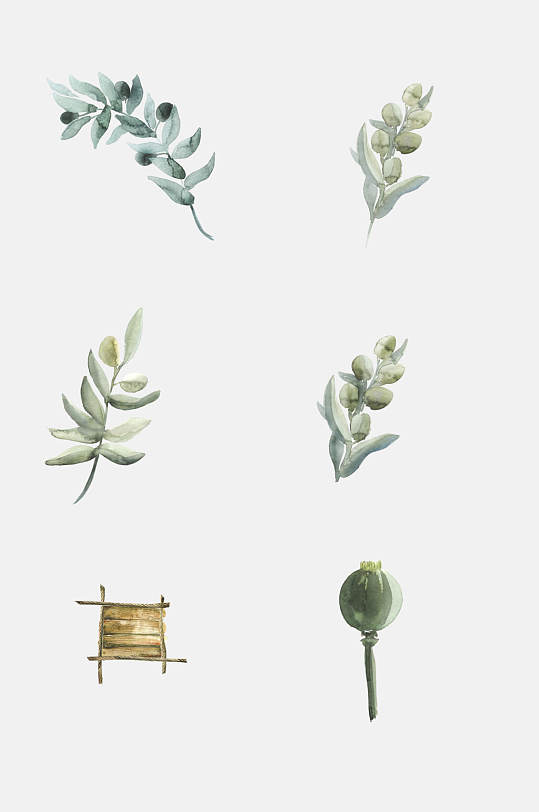 清新简约森系水彩植物元素素材