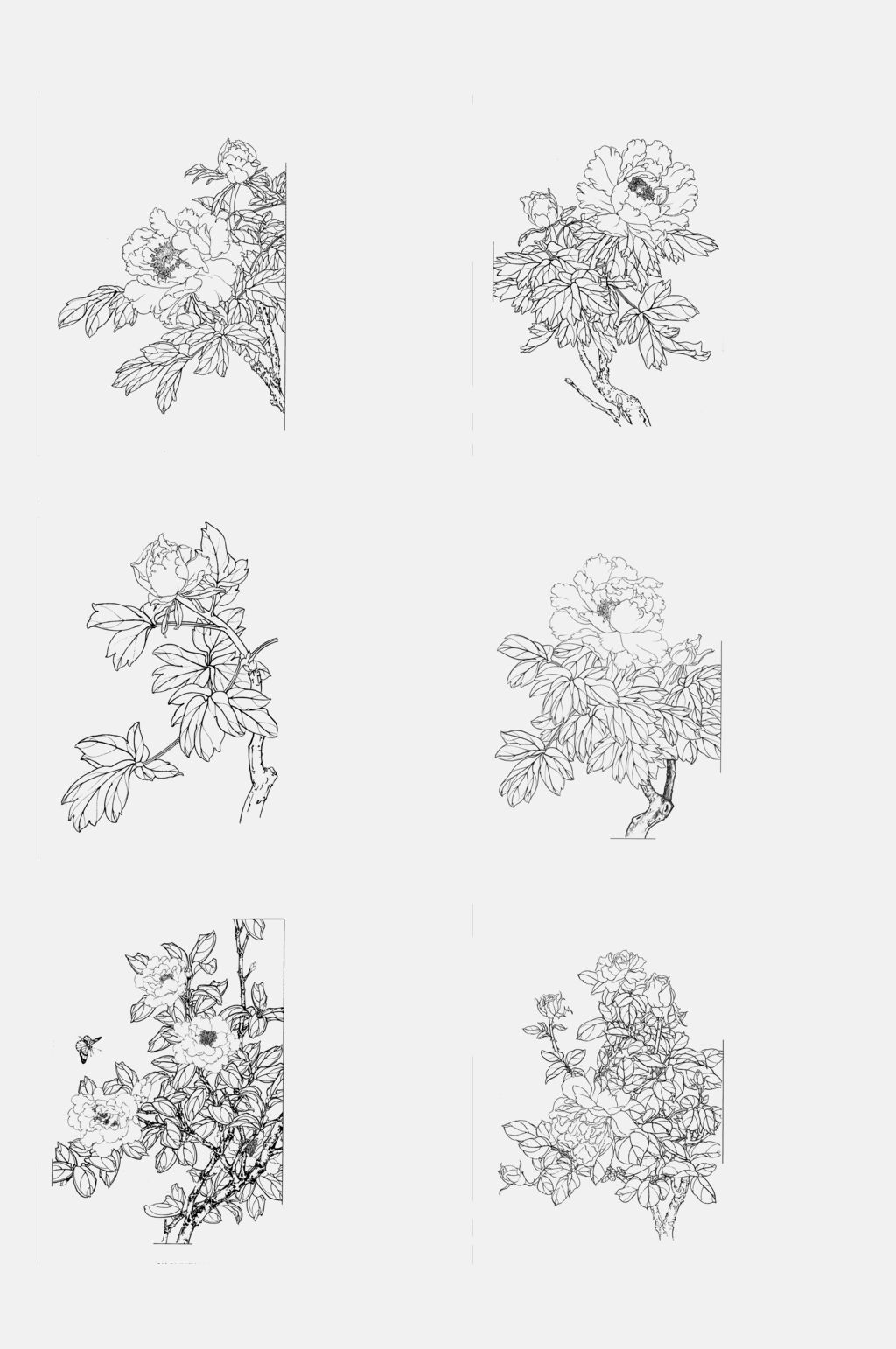 工笔白描花卉元素素材素材