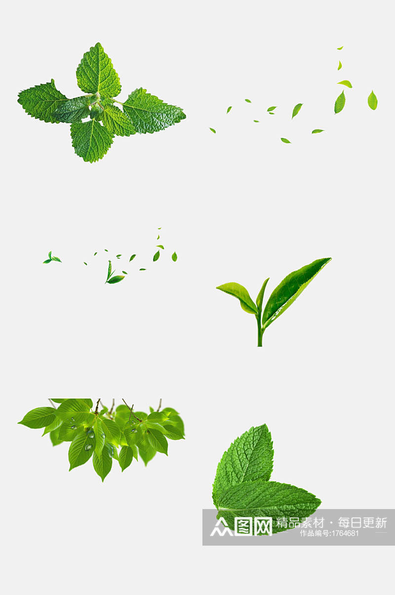 薄荷叶绿色叶子免抠元素素材素材