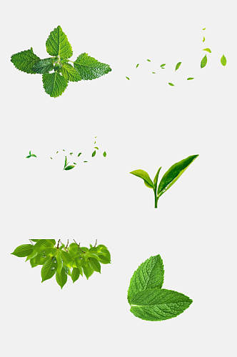 薄荷叶绿色叶子免抠元素素材