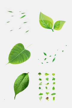 清新薄荷叶绿色叶子免抠元素素材