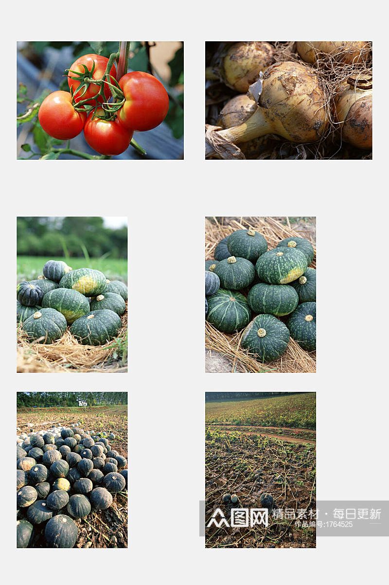 南瓜瓜果田园蔬菜元素素材素材