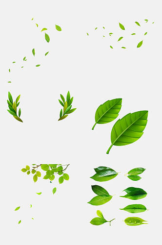 清新薄荷叶绿色叶子免抠元素素材