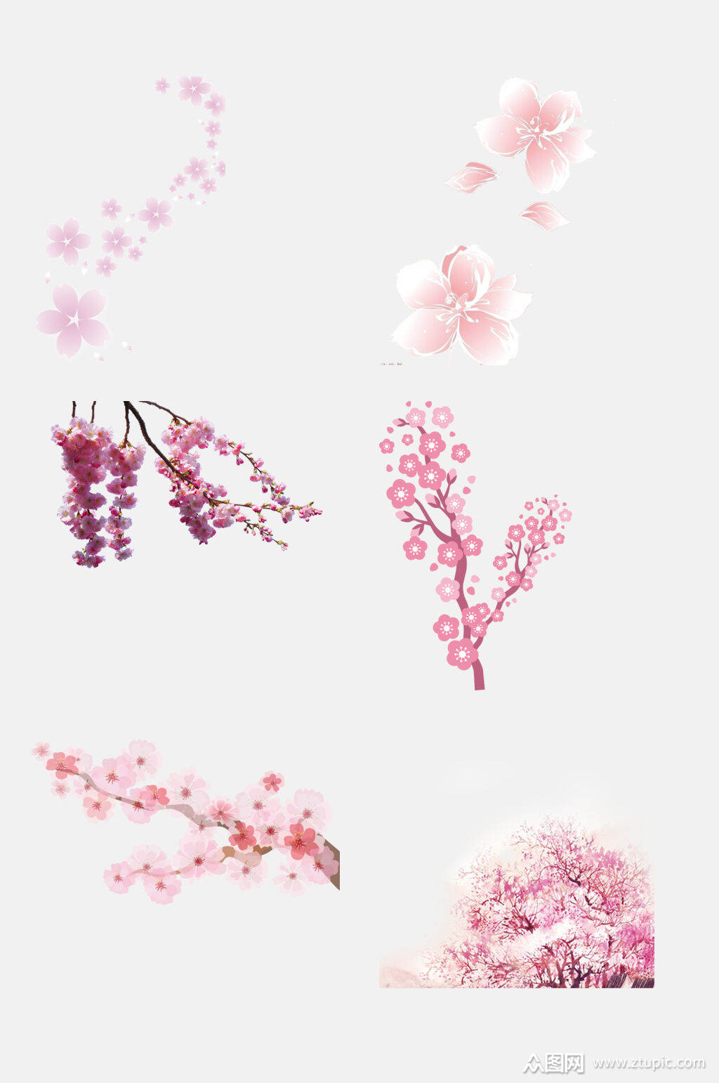 樱花花朵花瓣免抠元素素材模板下载-编号1764241-众图网