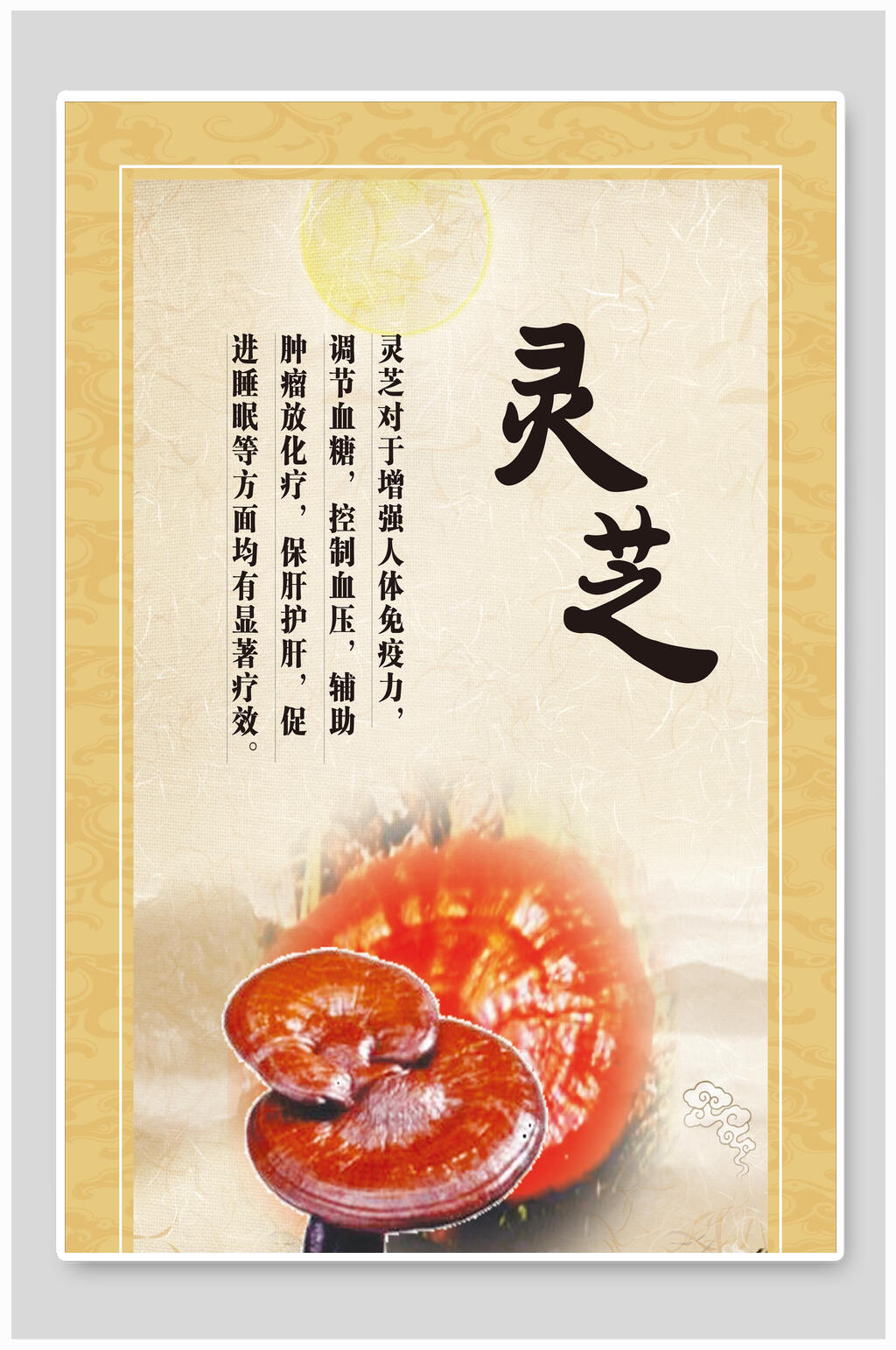 灵芝中医文化宣传海报素材