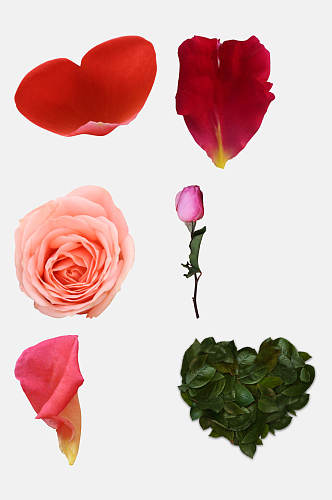 玫瑰花叶茎免抠元素素材
