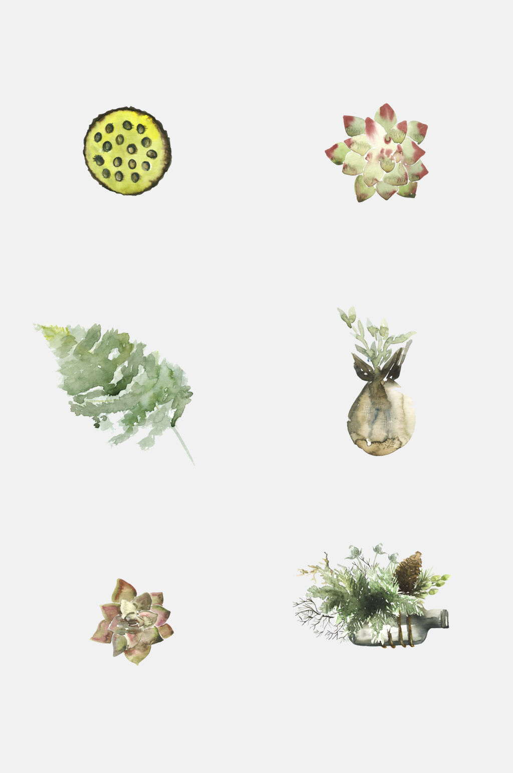 清新森系手绘画水彩植物元素素材素材