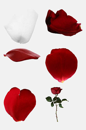 红色玫瑰花瓣免抠元素素材图片