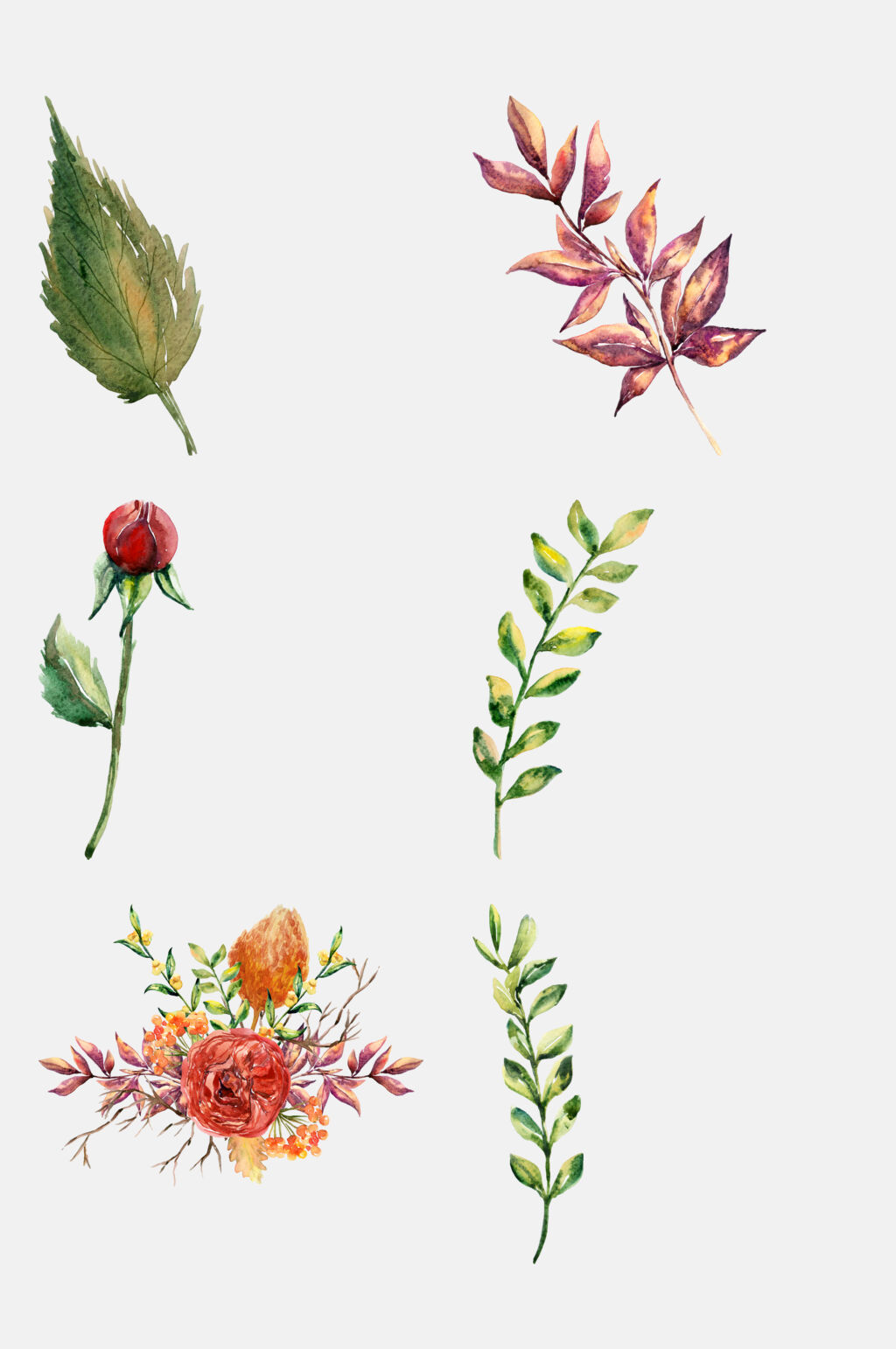 秋季花朵花叶水彩手绘元素素材素材