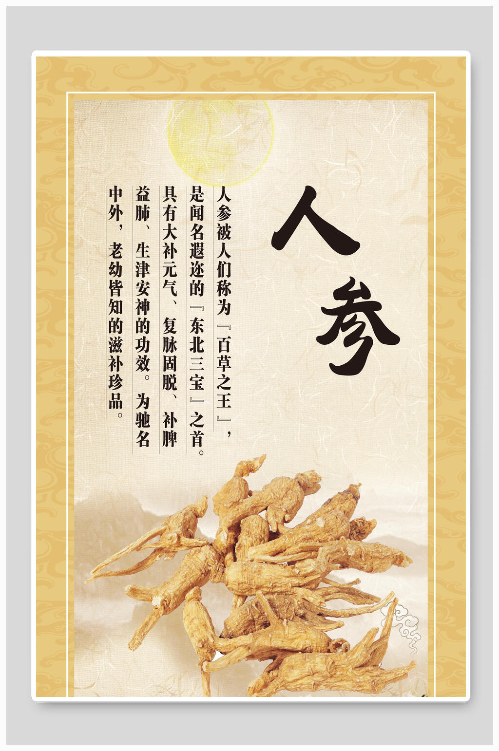 人参中医文化海报素材