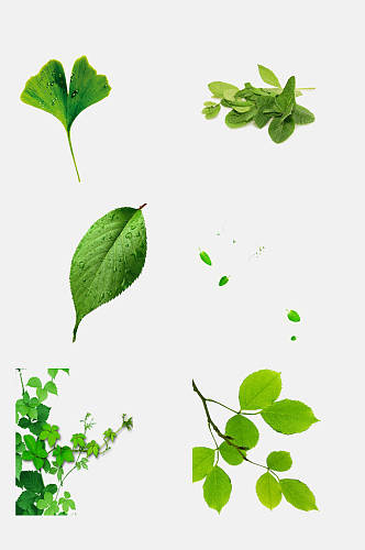薄荷叶绿色叶子免抠元素素材