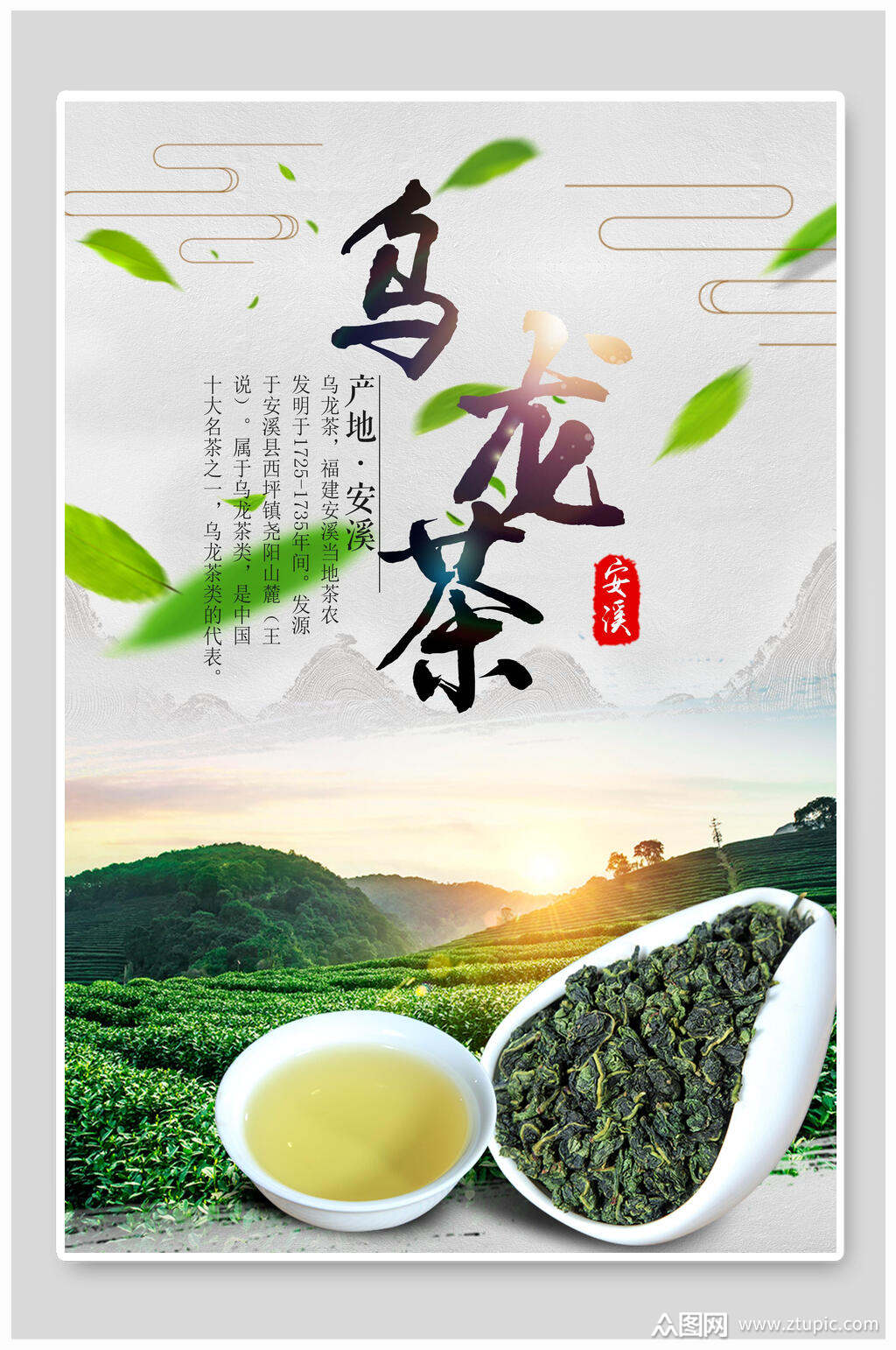 茶文化茶道海报乌龙茶简洁风