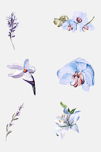 多彩好看手绘水彩花卉植物免抠元素