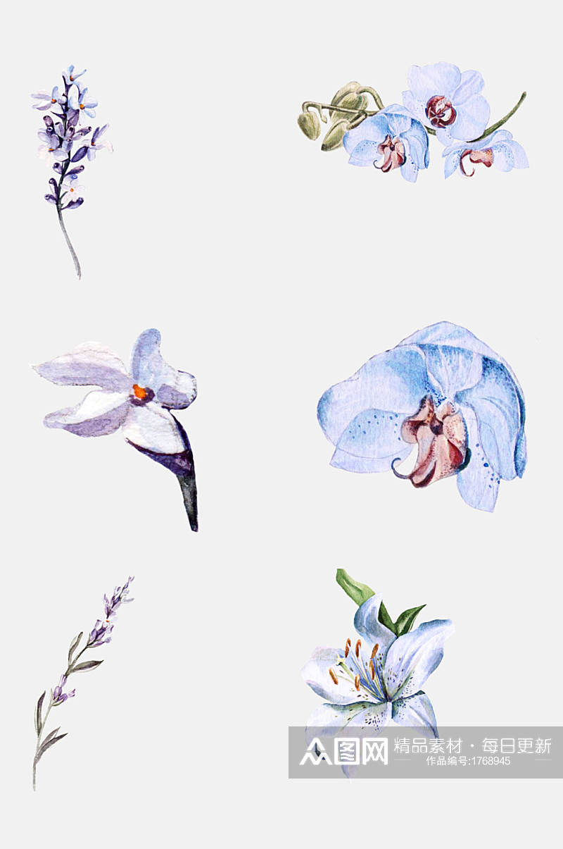 多彩好看手绘水彩花卉植物免抠元素素材