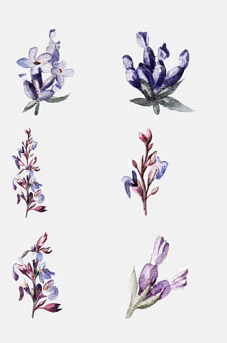 好看手绘水彩花卉植物免抠元素
