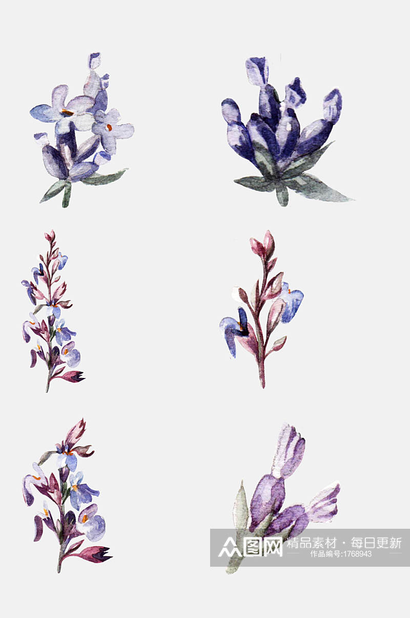 好看手绘水彩花卉植物免抠元素素材