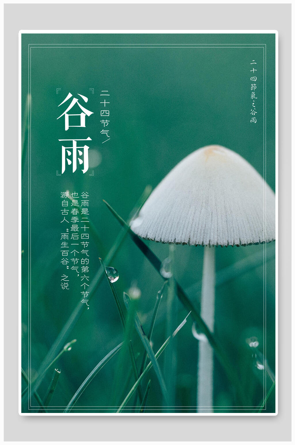 清新绿色中国传统节气谷雨海报素材