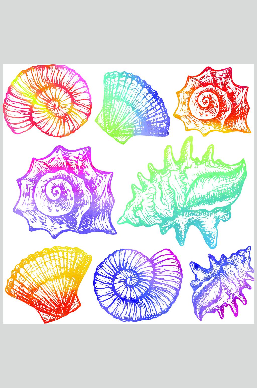 海洋生物海螺设计元素素材