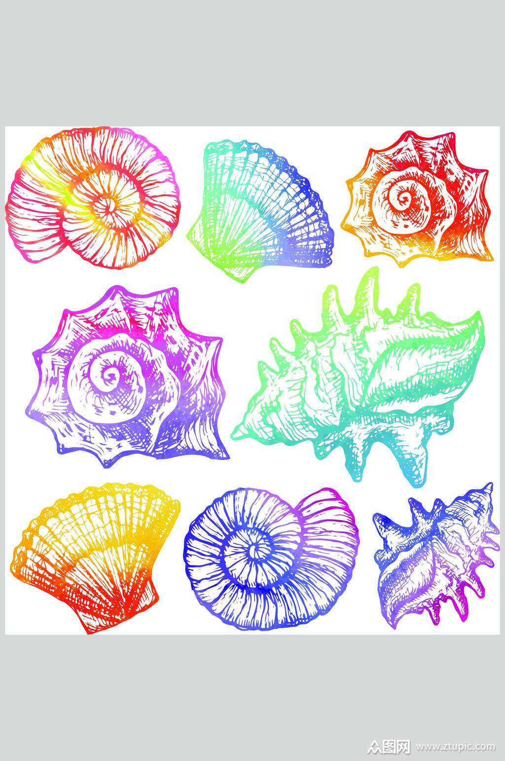 海洋生物海螺设计元素素材