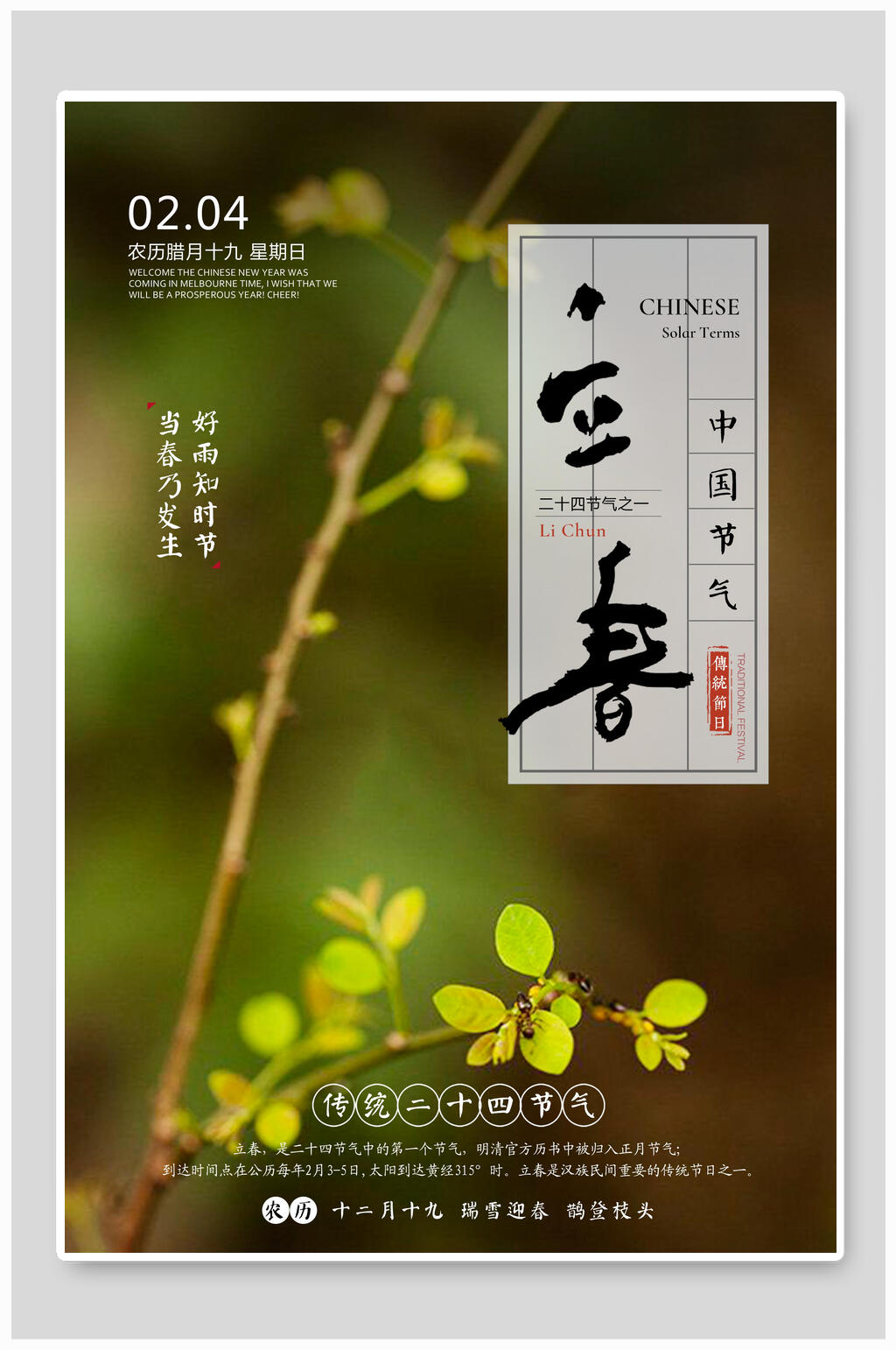 清新好雨知时节立春宣传海报素材