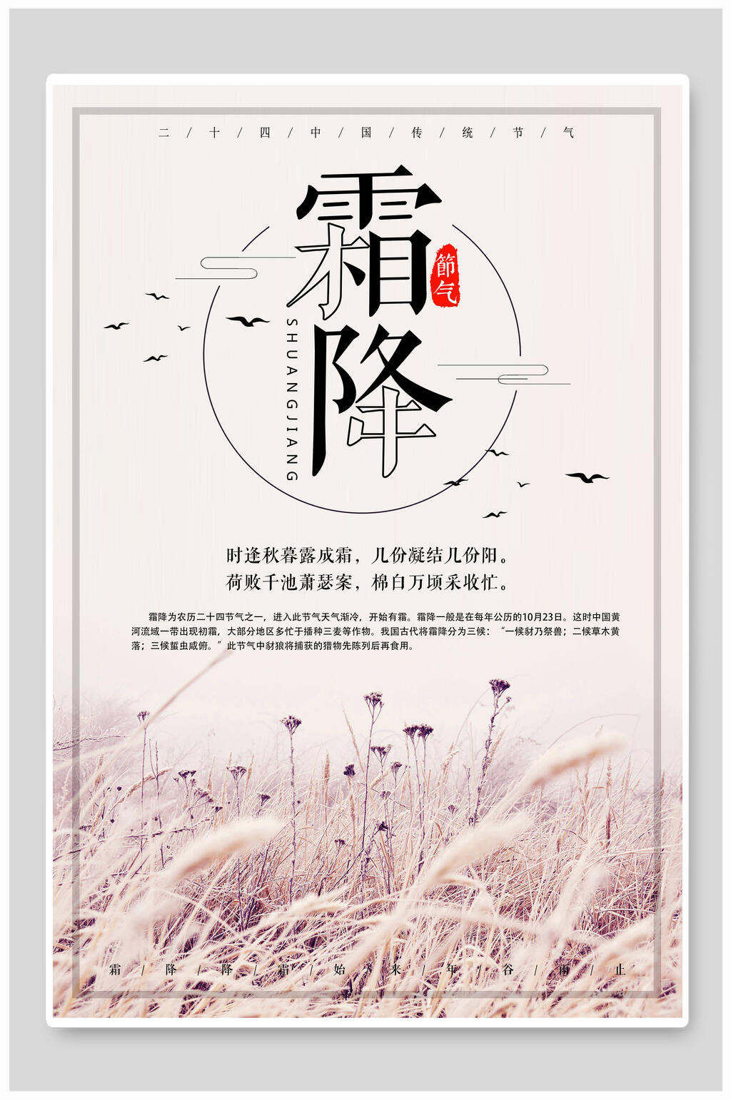 简约粉色霜降海报素材