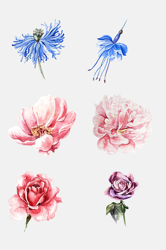 彩色漂亮手绘水彩花卉植物免抠元素