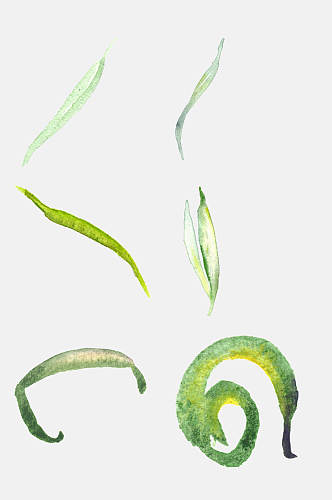 绿色植物叶子手绘水彩免扣