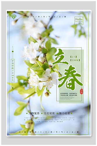 花卉中国传统节气立春海报