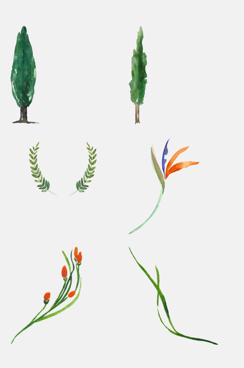彩色绿色植物手绘水彩免扣素材