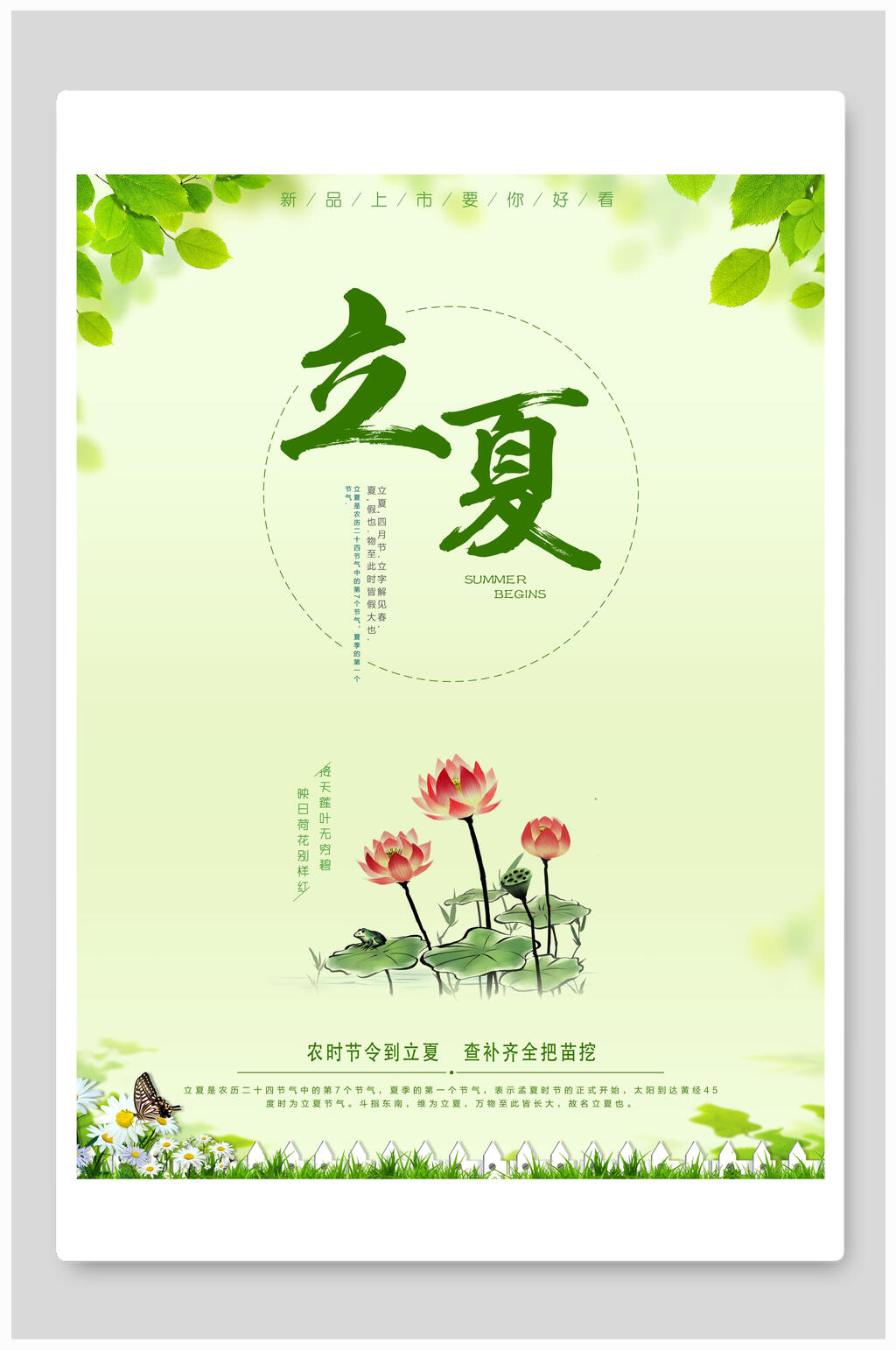 绿色简约中国节气立夏海报素材
