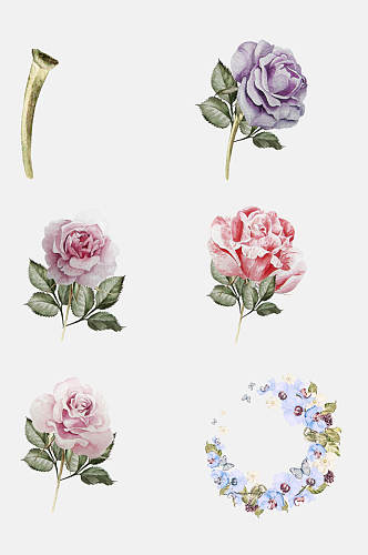 细节彩色手绘水彩花卉植物免抠元素