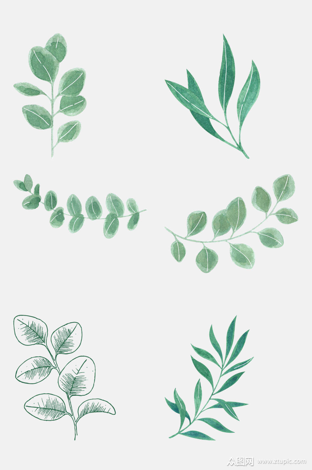 手绘小清新植物叶子素材