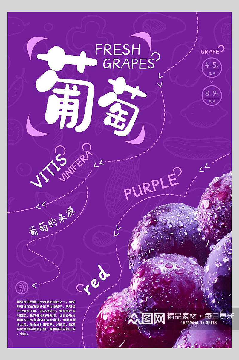 紫色葡萄水果海报素材