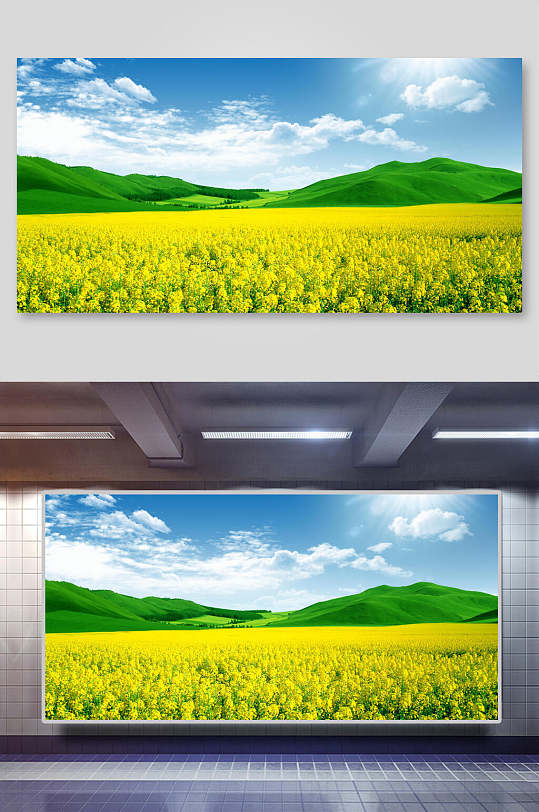 清新蓝天草地油菜花背景素材-众图网