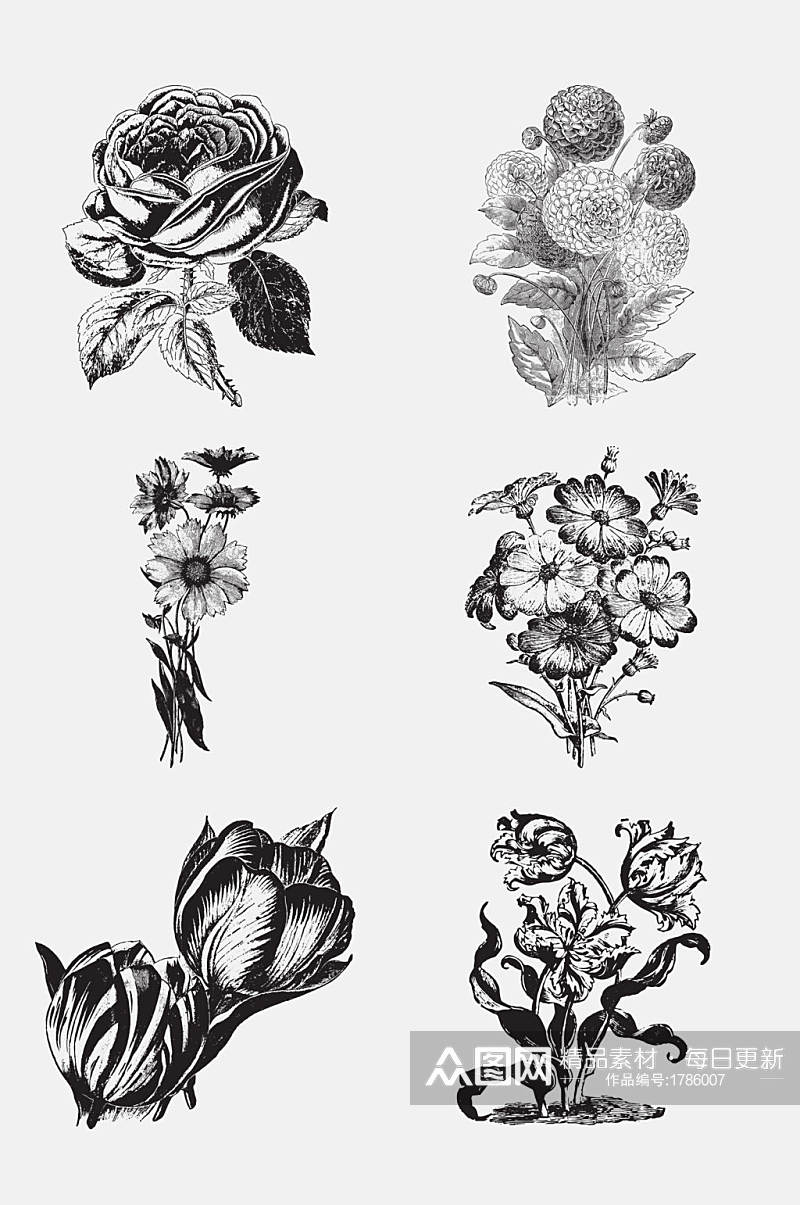 逼真黑白手绘花朵元素素材素材