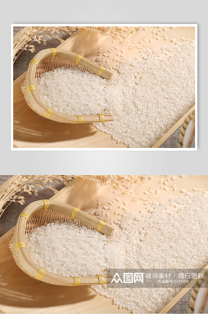 秋季米饭大米粮食摄影图片素材
