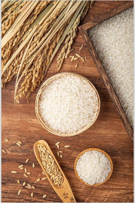 水稻米饭大米粮食特写摄影图片