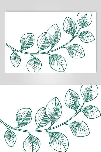 手绘画小清新植物叶子元素素材