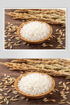 有机米饭大米粮食特写摄影图片