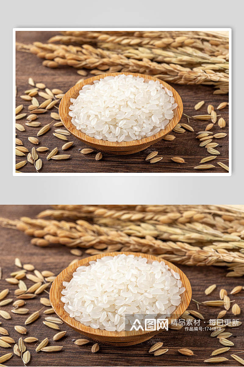 有机米饭大米粮食特写摄影图片素材