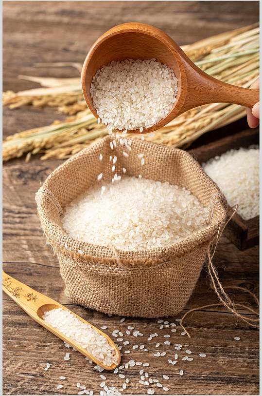 应季新品水稻米饭大米粮食摄影图片