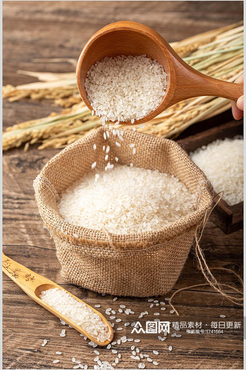 应季新品水稻米饭大米粮食摄影图片素材