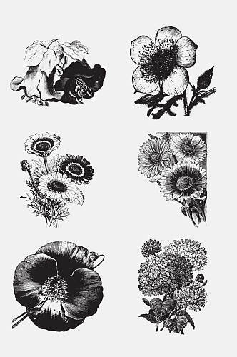 黑白手绘花朵元素素材